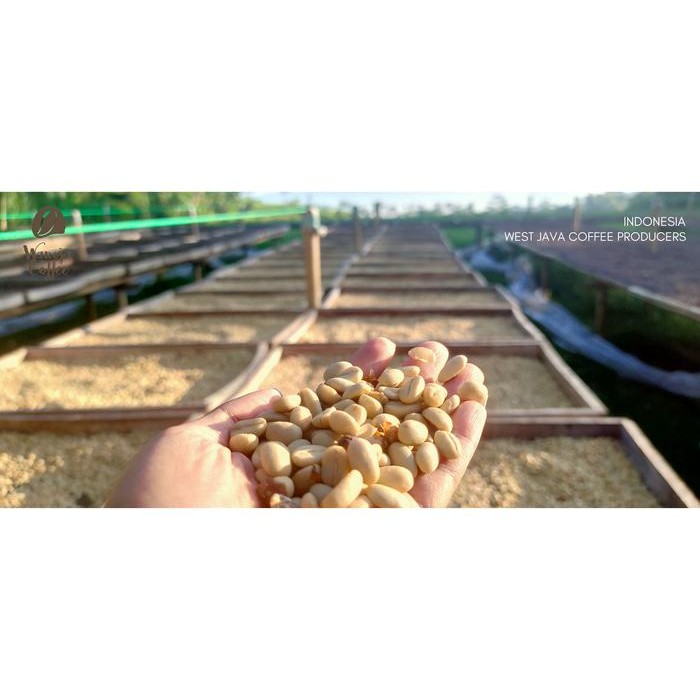 

GREEN BEAN ARABICA FULL WASH JAWA BARAT KAMOJANG