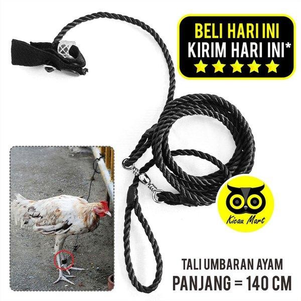Tali Kaki Ayam Tali Tambat Tali Umbaran Kaki Ayam Jago Bangkok Jantan Petarung Aduan Hutan Pengikat