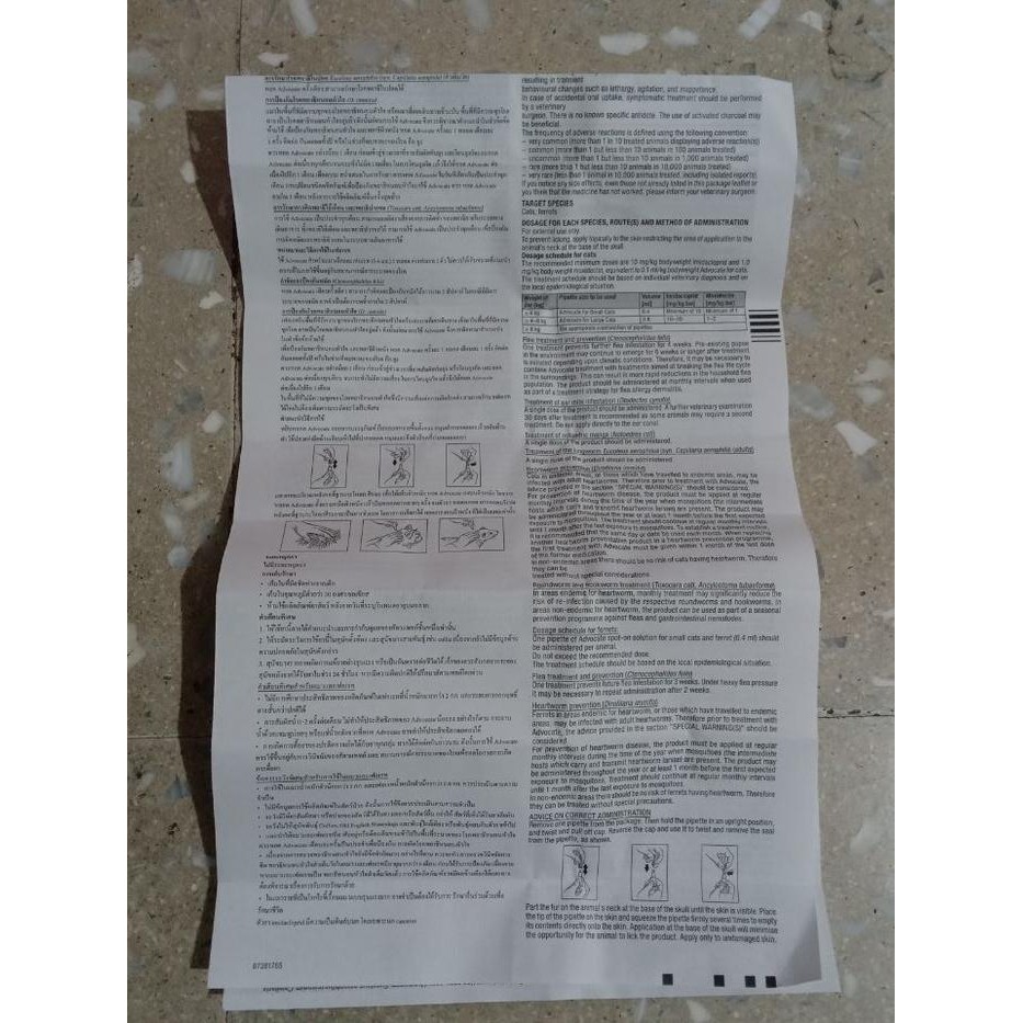 Advocate Cat 1 Tube - Obat Kutu - Cacing Kucing 4 - 8Kg