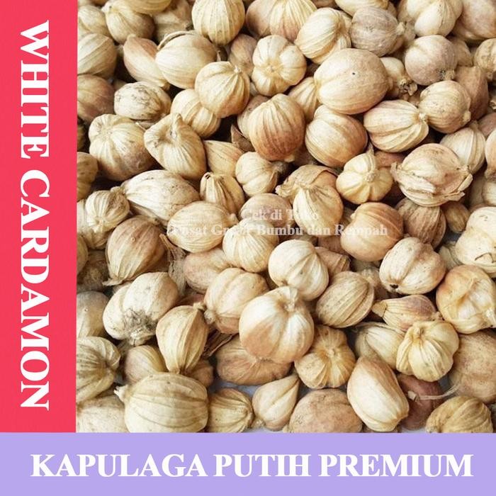 

Kapulaga Putih Kapolaga Putih Super 1 kg / White Cardamom Premium 1 kg