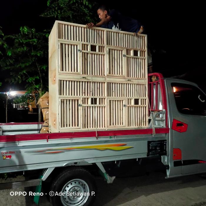 kandang ayam Bangkok pintu kecil