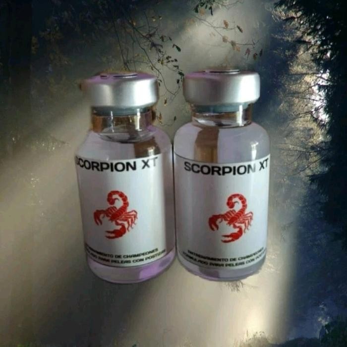 Scropio XT Doping Ayam Taji Berkualitas Sabung Ayam SCORPIO XT philipin