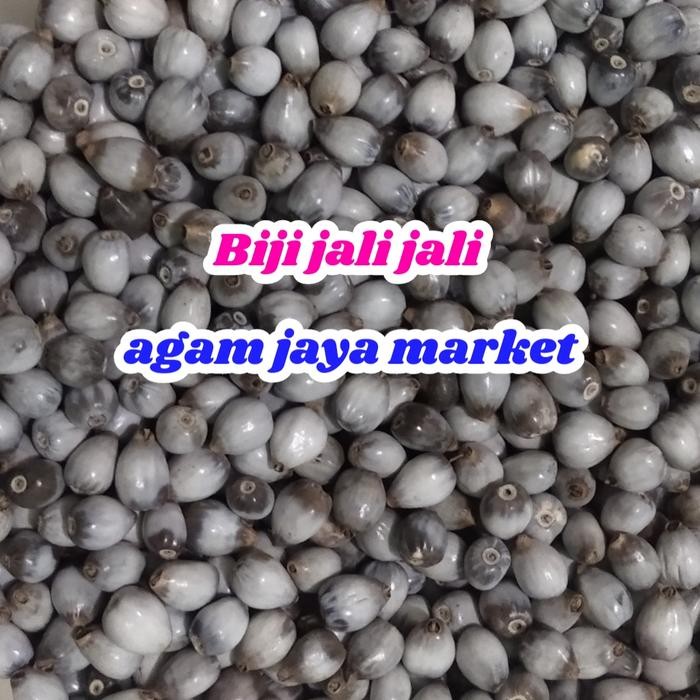 

Baru Biji jali jali berat 500 gram Terlaris