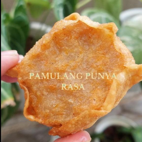 

Baru Siomay Goreng Ayam Isi 10 Pcs Cemilan Frozen Praktis