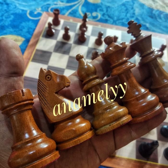 Biji Buah Catur Kayu Sawo