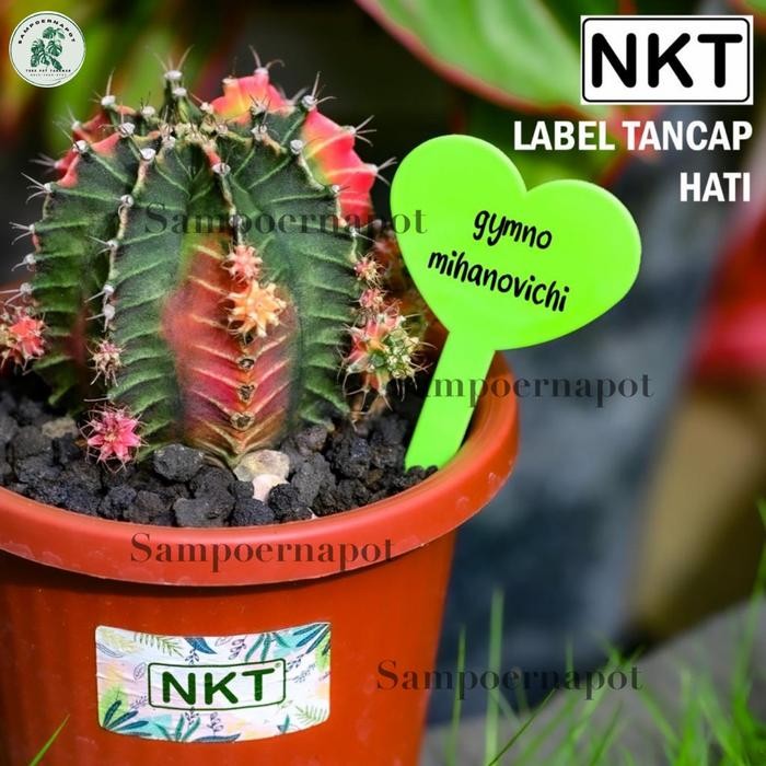 

ID LABEL TAG TANCAP HATI TANAMAN WARNA WARNI NAME TAG - PACK ISI 50 PCS