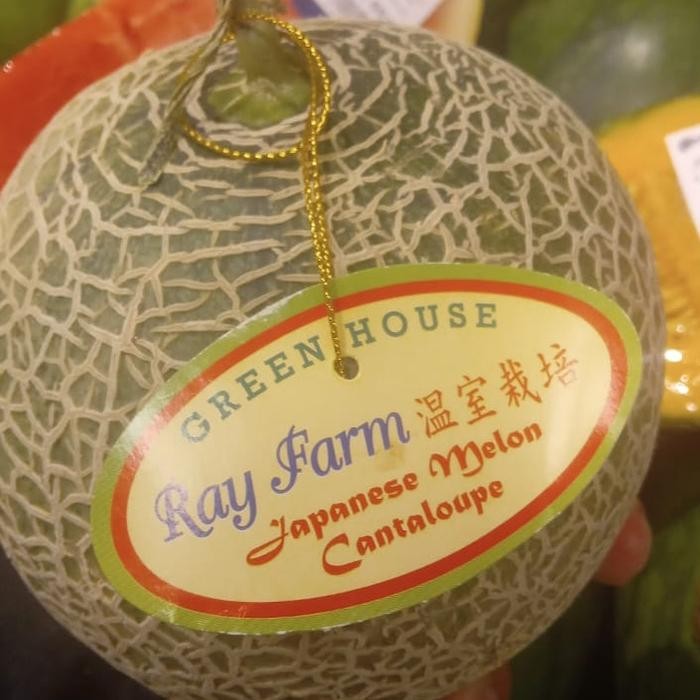 

NATURE- Buah Melon Cantaloupe Jepang / Melon Manis Dan Lembut