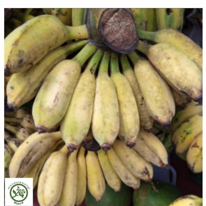

NATURE- Pisang Siam Atau Siem Makanan