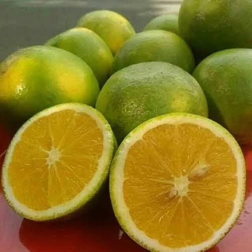 

NATURE- Buah Jeruk Baby Java Sunpride Jeruk Bayi 1Kg