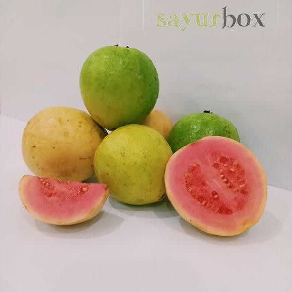 

NATURE- Jambu Biji Merah Konvensional 1 Kg Sayurbox