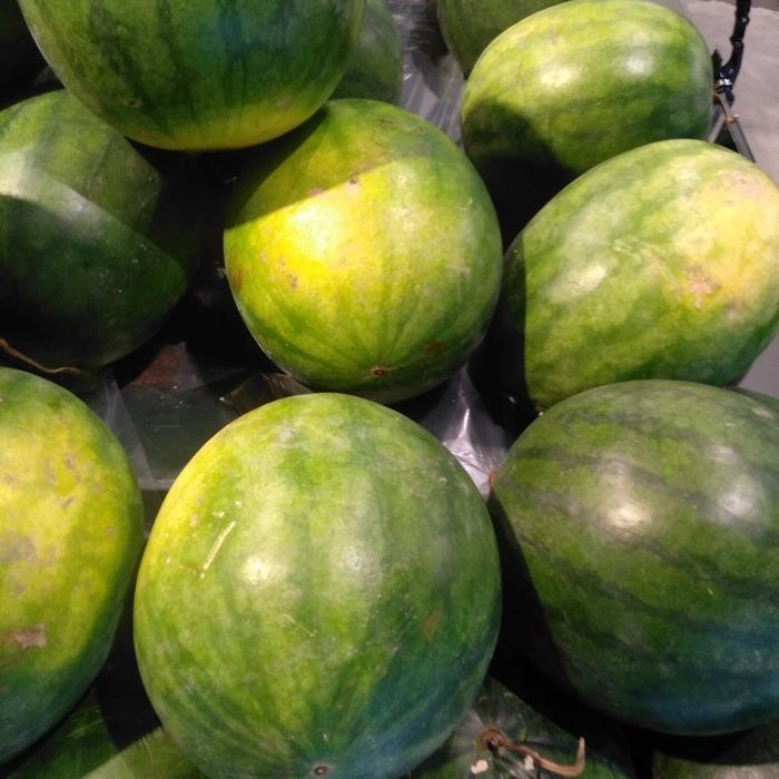 

NATURE- Semangka Fresh Size 3-3.5Kg Perbuah