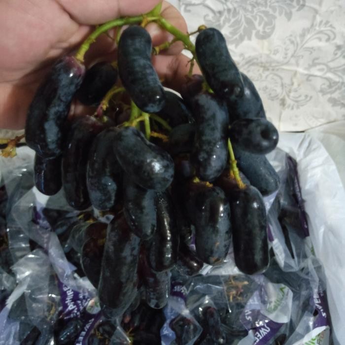 

NATURE- Anggur Panjang Anggur Mondroop Anggur Jari Non Biji