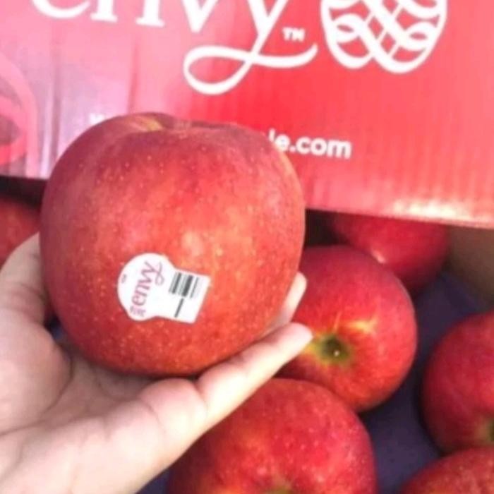 

NATURE- Apel Envy Usa Garing Manis Fresh 1 Kg