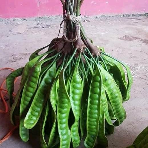 

LUXEHEALTH- Pete Gobang Super..Per 10 Buah