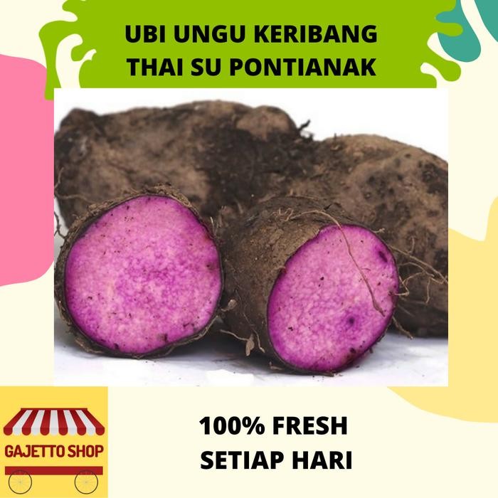 

LUXEHEALTH- Ubi Ungu Taisu Keribang Thaisu Thai Su Pontianak Kalimantan 500 Gram
