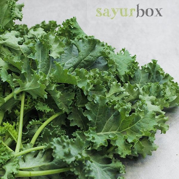

LUXEHEALTH- Curly Kale Hidroponik 250 Gram Sayurbox