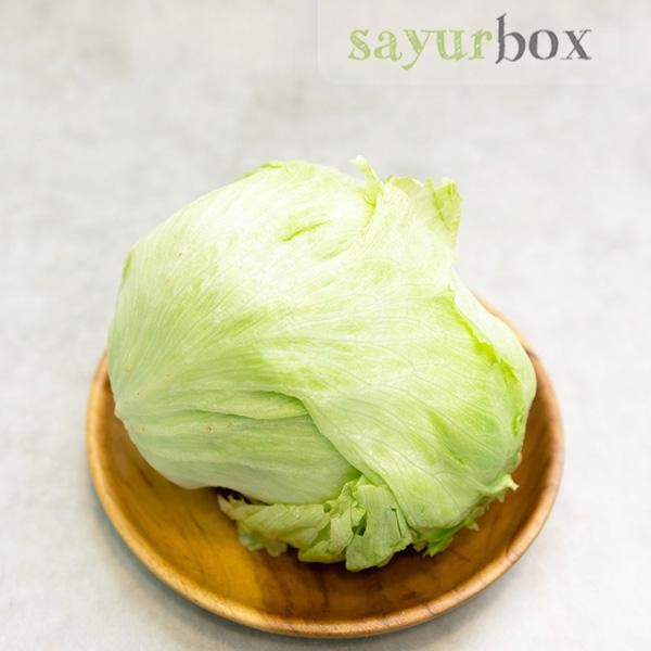 

LUXEHEALTH- Selada Ice Berg Konvensional 500 Gram Sayurbox