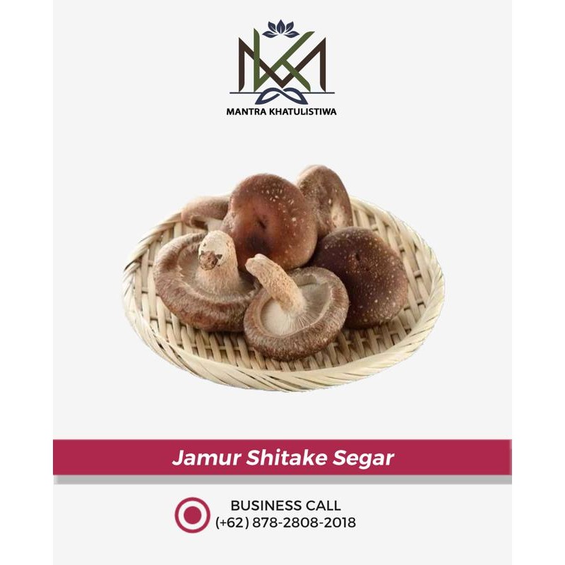 

LUXEHEALTH- Jamur Shitake Segar