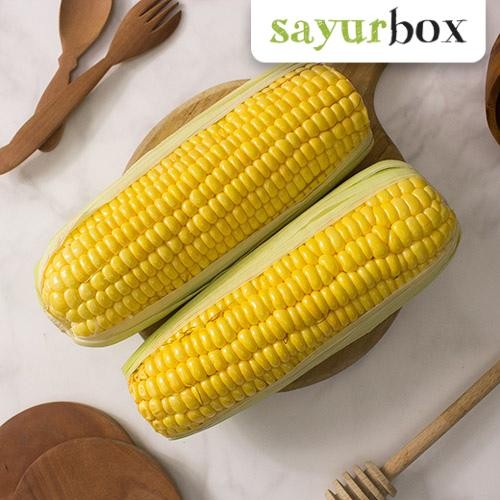 

LUXEHEALTH- Jagung Manis Organik (2Pcs) Sayurbox