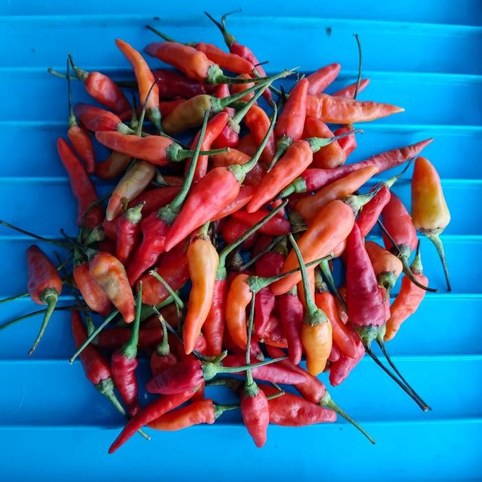 LUXEHEALTH- Rawit Merah - Rawit Cabe - Rawit 1 Kg - Rawit Merah 1/2 Kg - Rawit 1/4