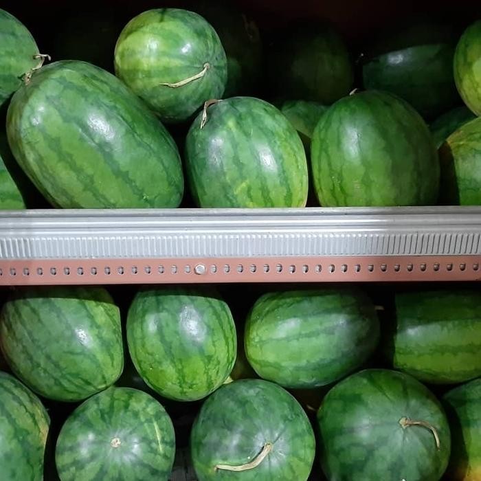 

buah semangka tanpa biji (1 bh 4kg)