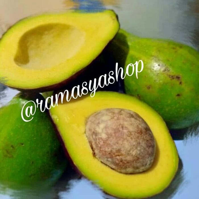 

big size alpukat RAMASYA