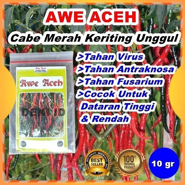 Benih Cabe Awe Aceh Bibit CMK Cabai Merah Keriting 10 Gram