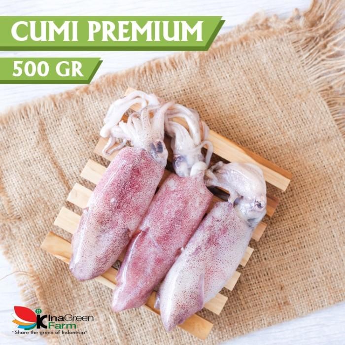 

SIAPKIRIM Cumi Premium 500 Gram Inn Farm Bandung READY STOCK