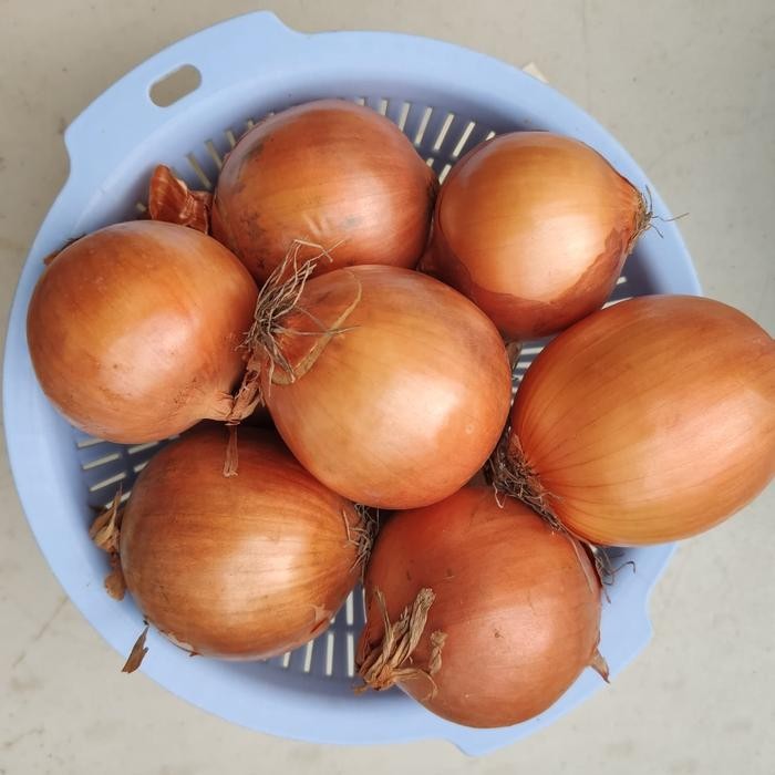 

Pilihan- Bawang Bombay Fresh New Zealand