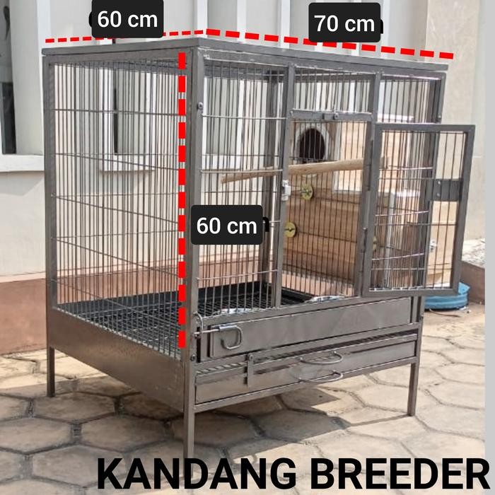 

Kandang Untuk Beternak Burung Parrot