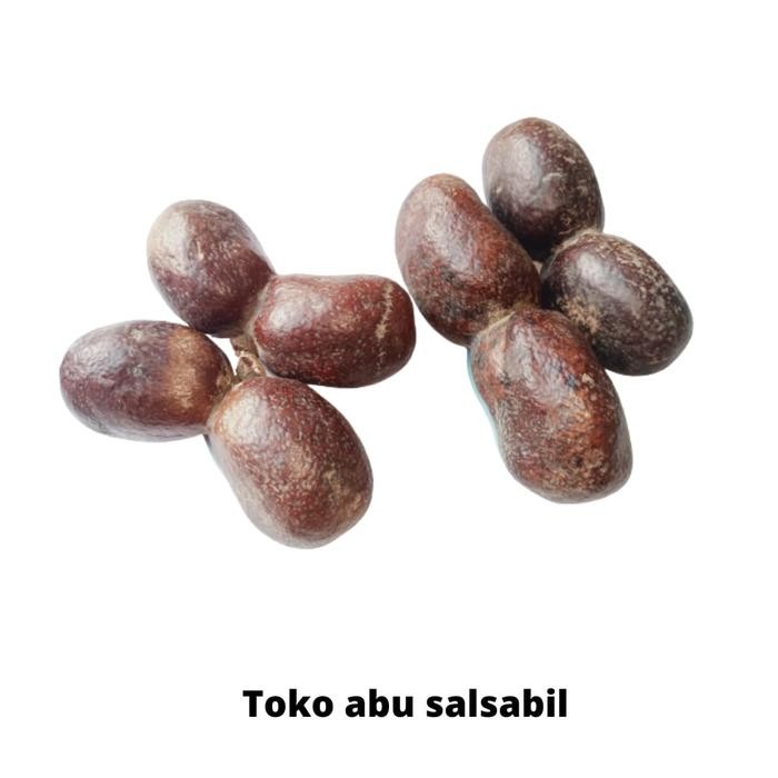 BUAH ZURIAT MADINAH KEMBAR 2