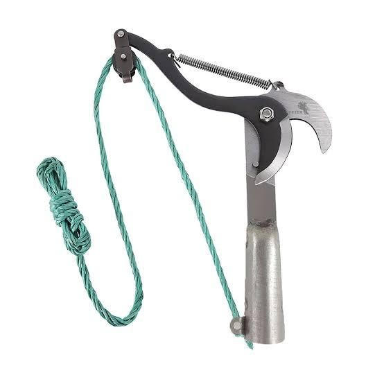 Gunting dahan pohon tinggi