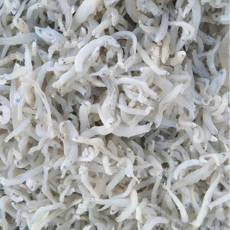 

[COD] IKAN ASIN TERI NASI ASLI MEDAN 500GR