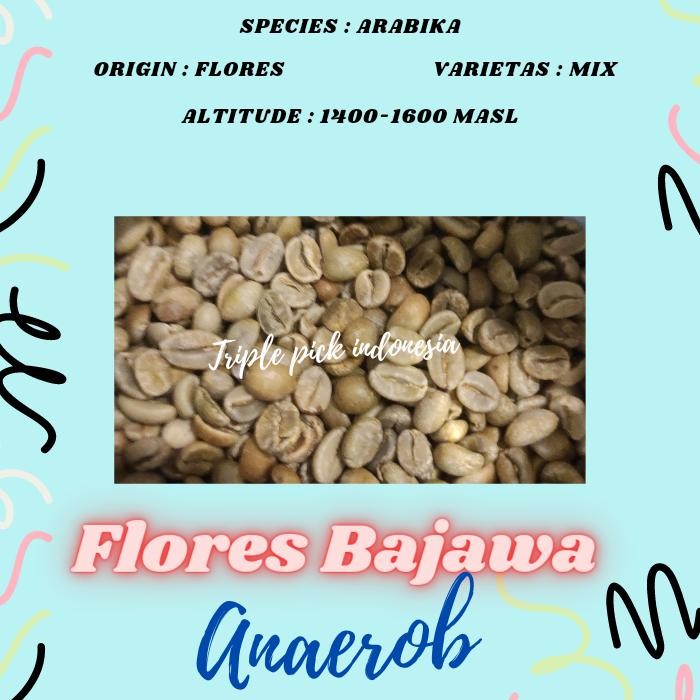 

Pilihan- Green Bean / Biji Kopi Arabika Flores Bajawa -Anaerob Proses Termurah