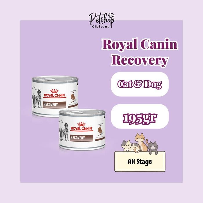Pilihan- Makanan Kucing/Anjing Recovery Royal Canin