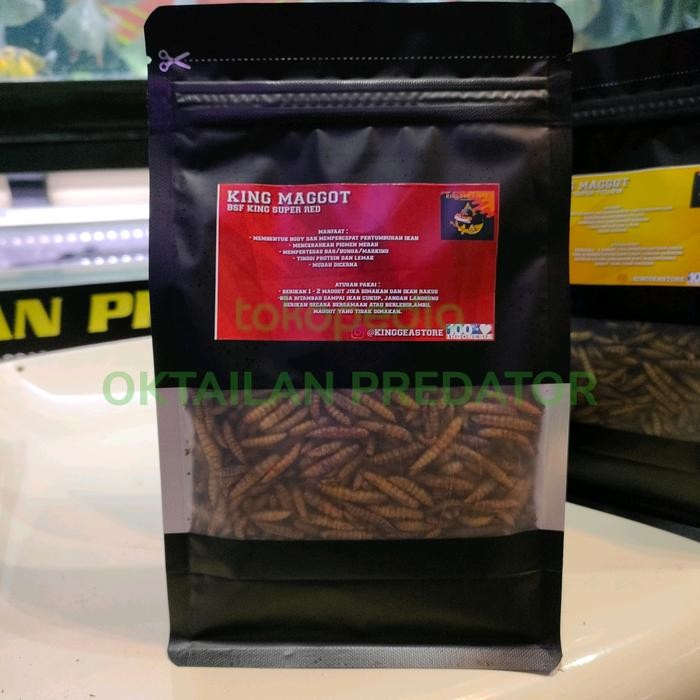 pakan magot kering king magot