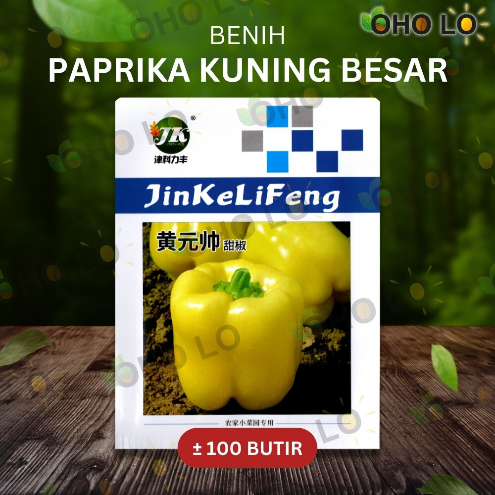 ± 100 BUTIR BENIH PAPRIKA KUNING BESAR IMPORT KEMASAN ORIGINAL PABRIK
