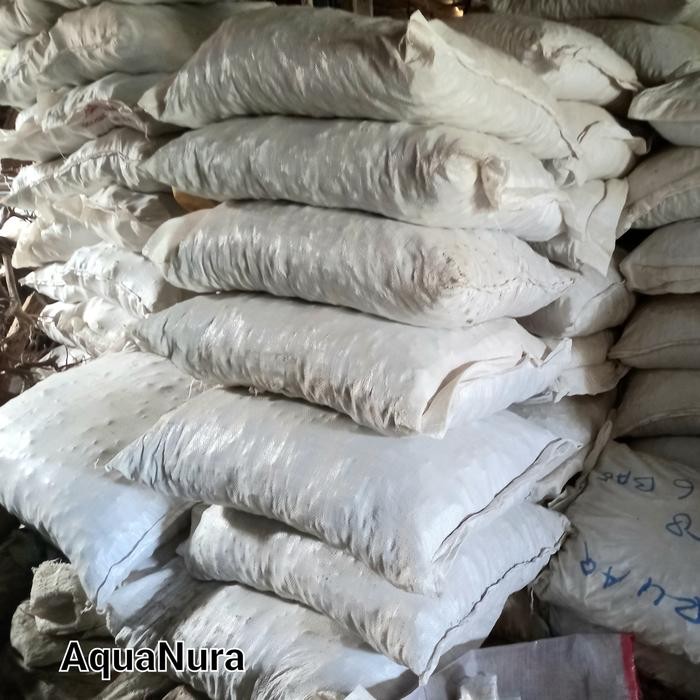 1 KARUNG BATU APUNG SIZE L BESAR MEDIA FILTER AIR AQUARIUM KOLAM