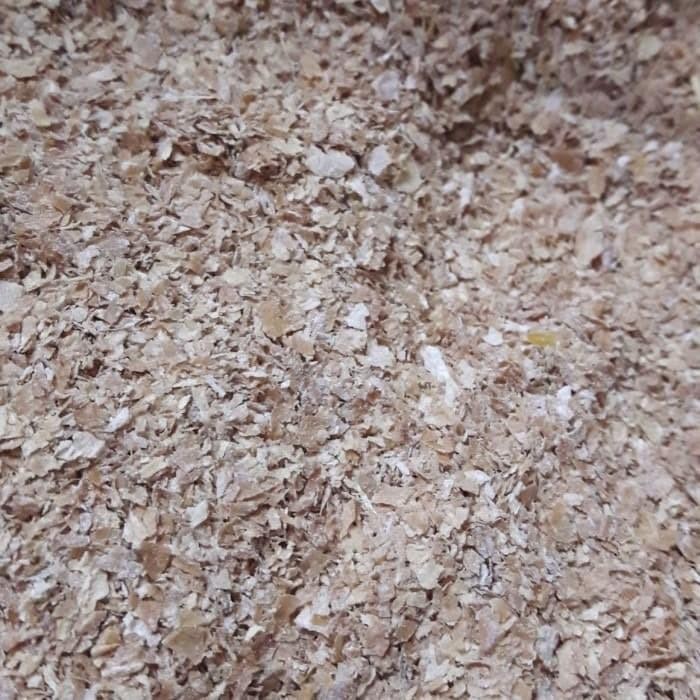 

(Expert) TEPUNG GANDUM UTUH KASAR MERK CAPITOL REPACK 1000gr / 1kg