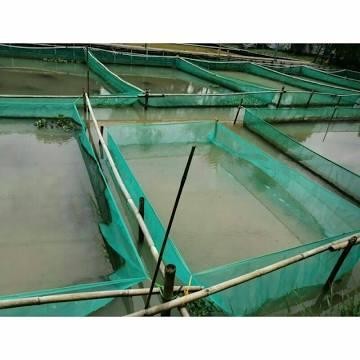 1 ROLL JARING PENGAMAN KASA SAFETY NET WARING KERAMBA HIJAU 1 X 50 M