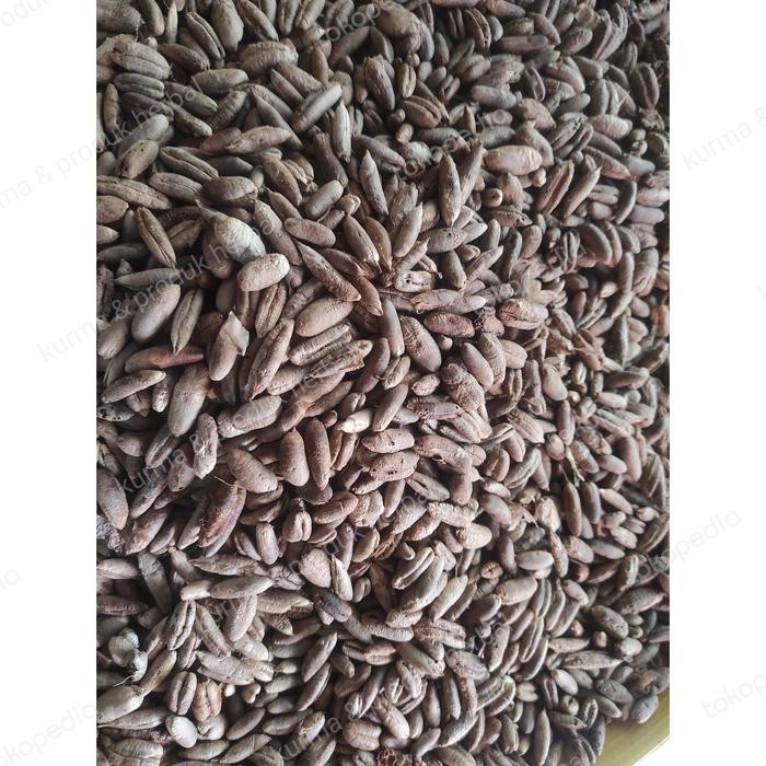 

PREMIUM Biji Kurma kering 1kg