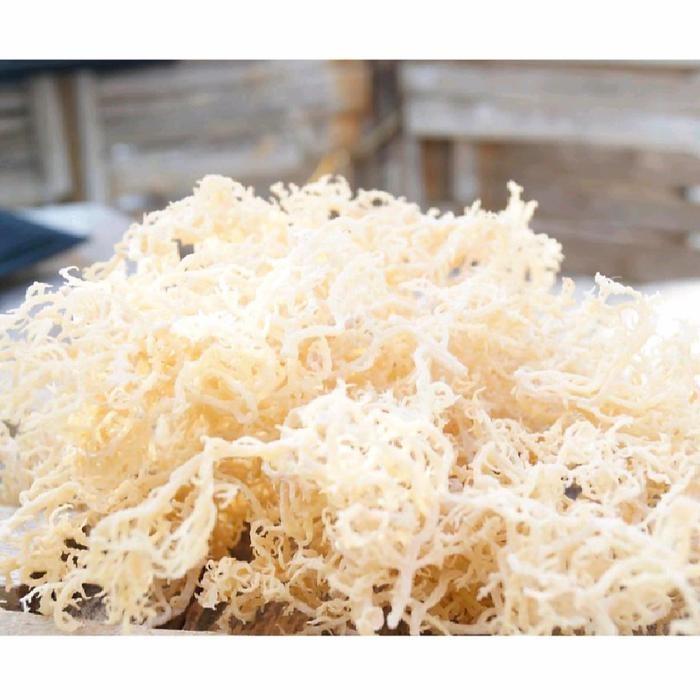 

PREMIUM 1KG RUMPUT LAUT KERING SPINOSUM KENYAL ORIGINAL