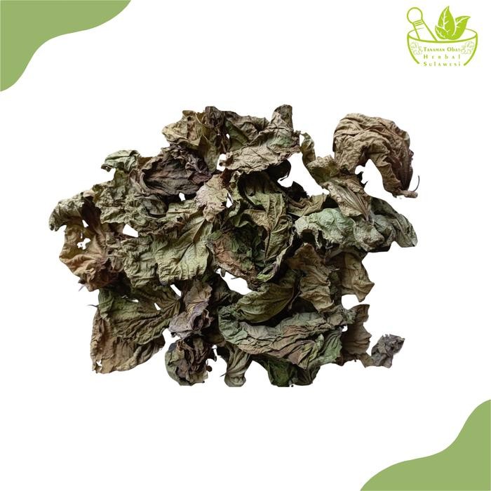 

PREMIUM Daun Paliasa Kering (50 Gram)
