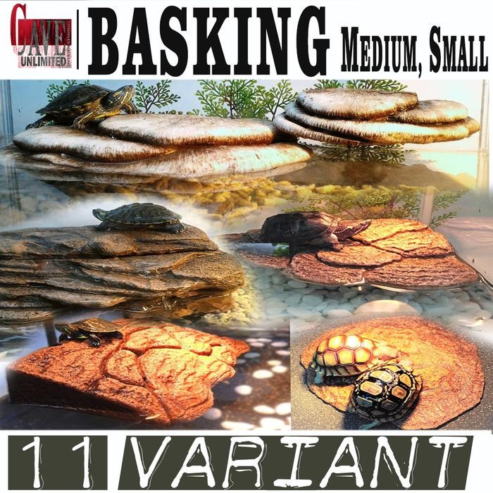 PREMIUM MEDIUM VARIAN BASKING TEMPAT BERLINDUNG JEMUR MAIN KURA TORTOISE KADAL KURA KURA RES BRAZIL