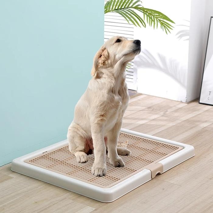 Large Dog Toilet Mat Dog Stuff Indoor Litter Box Tray Labrador Poop