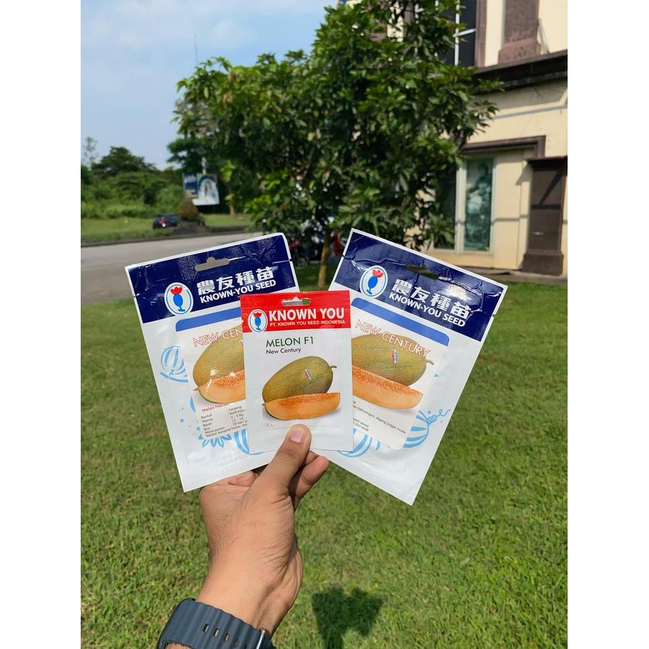 [Sp] Benih Biji Melon New Century 4 Biji Melon Kys Lonjong Hami Kuning Sweet Lavender