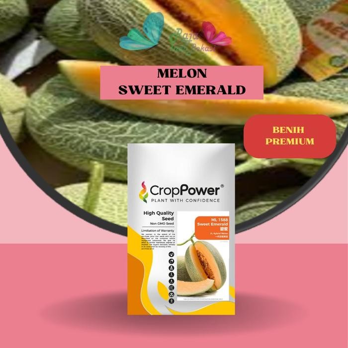 [Sp] Ori Benih F1 Melon Sweet Emerald Biji Melon Premium Ekslusif Sweet Net Bibit Melon Lonjong