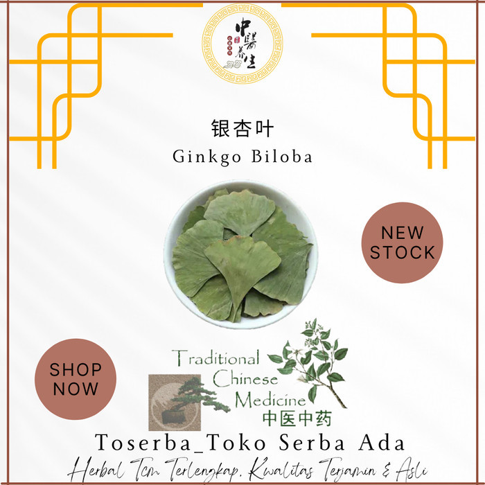 

300gr Herbal Yin Xing Ye Tea Daun Ginkgo Biloba Premium