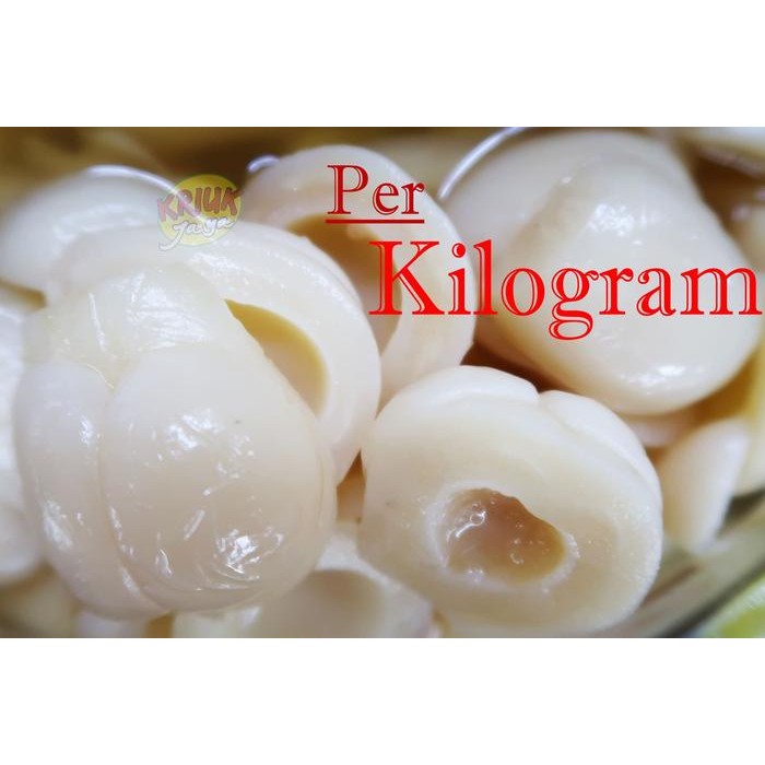 

Manisan Buah SALAK Basah ... Spesial ( KILOAN / CURAH )