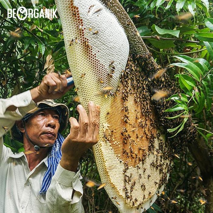 

Madu Hutan Beorganik 500Ml - Natural Raw Forest Honey Asli